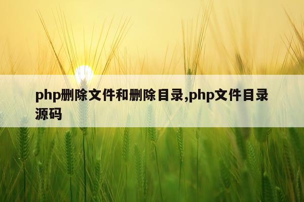 php删除文件和删除目录,php文件目录源码