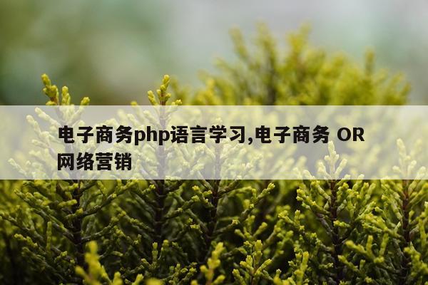 电子商务php语言学习,电子商务 OR 网络营销
