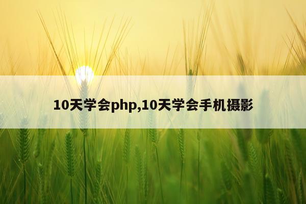 10天学会php,10天学会手机摄影