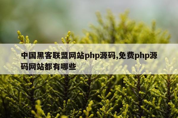 中国黑客联盟网站php源码,免费php源码网站都有哪些