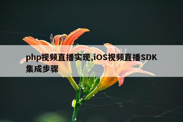 php视频直播实现,iOS视频直播SDK集成步骤