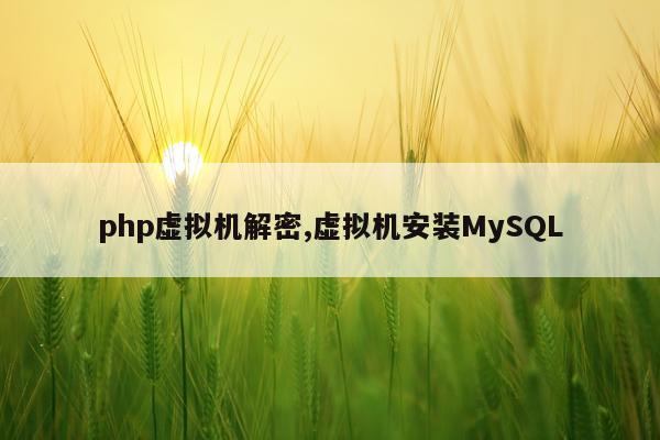 php虚拟机解密,虚拟机安装MySQL
