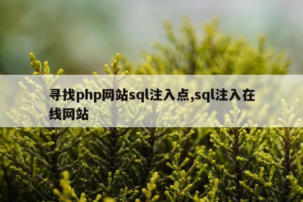 寻找php网站sql注入点,sql注入在线网站