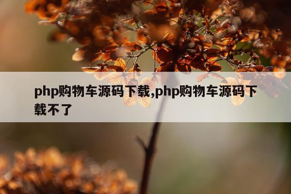 php购物车源码下载,php购物车源码下载不了