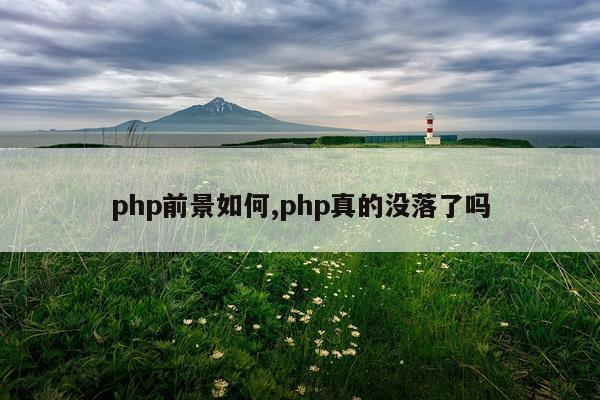 php前景如何,php真的没落了吗