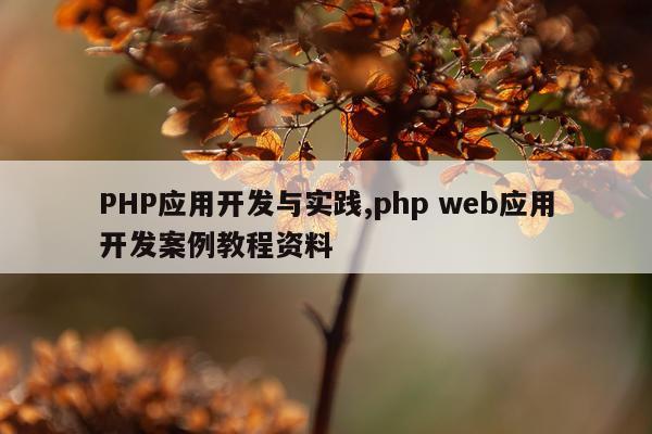 PHP应用开发与实践,php web应用开发案例教程资料