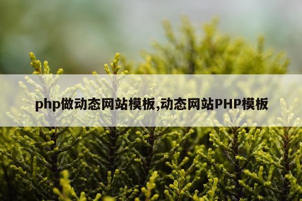 php做动态网站模板,动态网站PHP模板