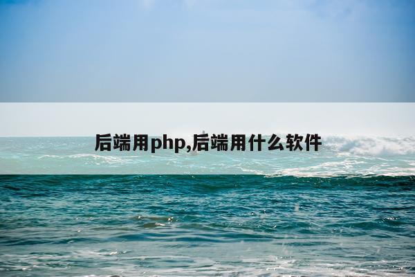 后端用php,后端用什么软件