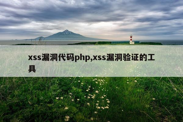 xss漏洞代码php,xss漏洞验证的工具