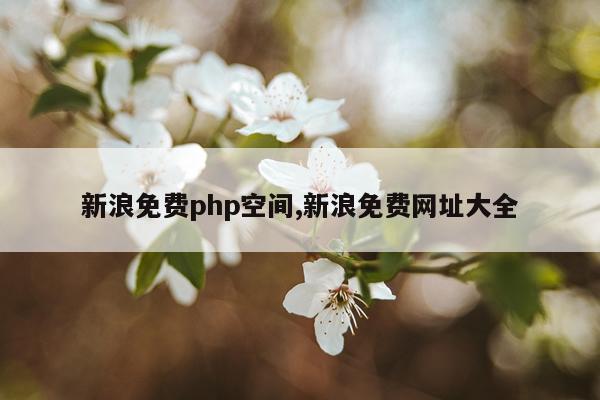 新浪免费php空间,新浪免费网址大全