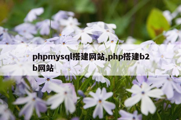 phpmysql搭建网站,php搭建b2b网站