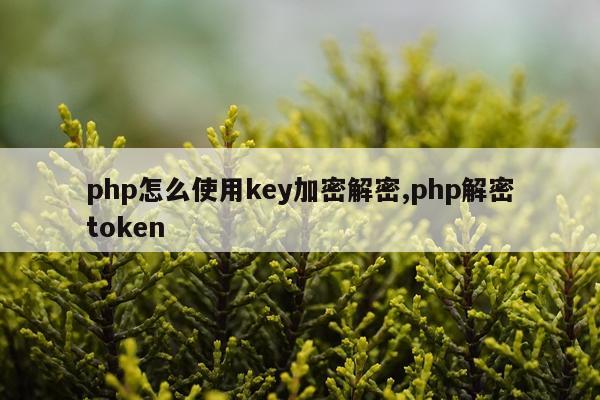 php怎么使用key加密解密,php解密token