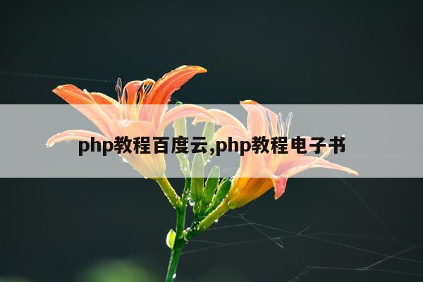 php教程百度云,php教程电子书