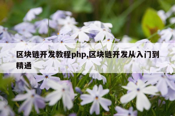 区块链开发教程php,区块链开发从入门到精通