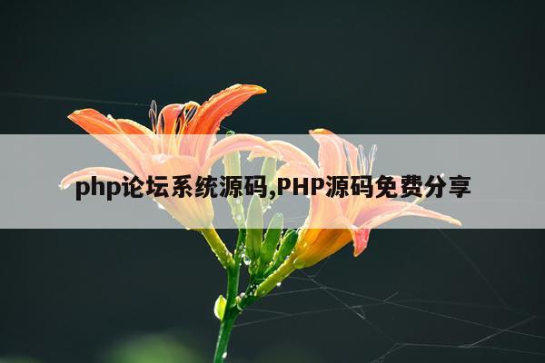 php论坛系统源码,PHP源码免费分享