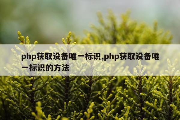 php获取设备唯一标识,php获取设备唯一标识的方法