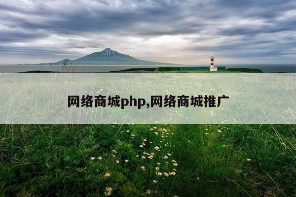 网络商城php,网络商城推广