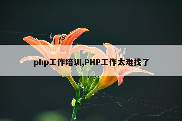 php工作培训,PHP工作太难找了
