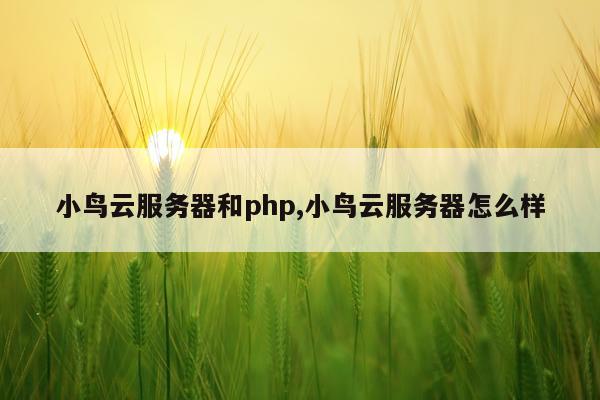 小鸟云服务器和php,小鸟云服务器怎么样