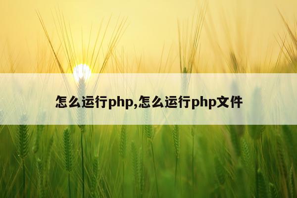 怎么运行php,怎么运行php文件