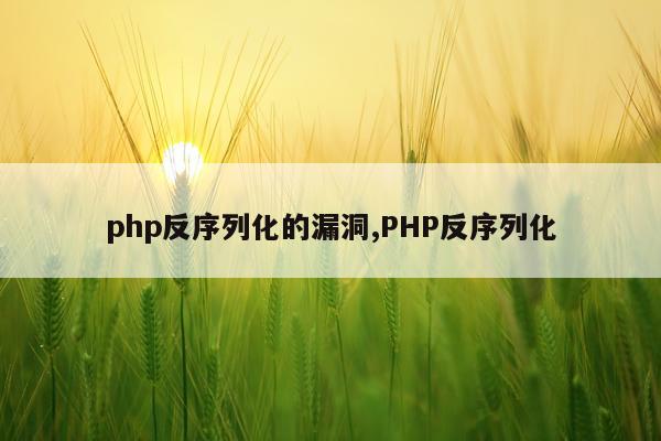 php反序列化的漏洞,PHP反序列化