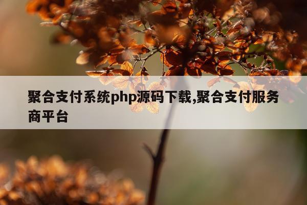 聚合支付系统php源码下载,聚合支付服务商平台