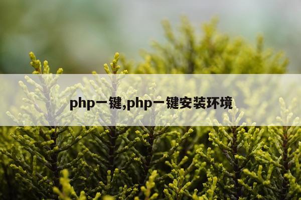 php一键,php一键安装环境