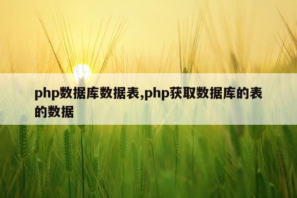 php数据库数据表,php获取数据库的表的数据