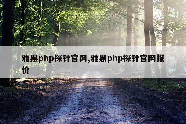 雅黑php探针官网,雅黑php探针官网报价