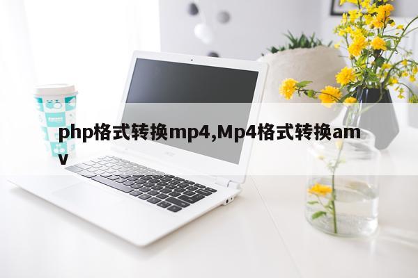 php格式转换mp4,Mp4格式转换amv