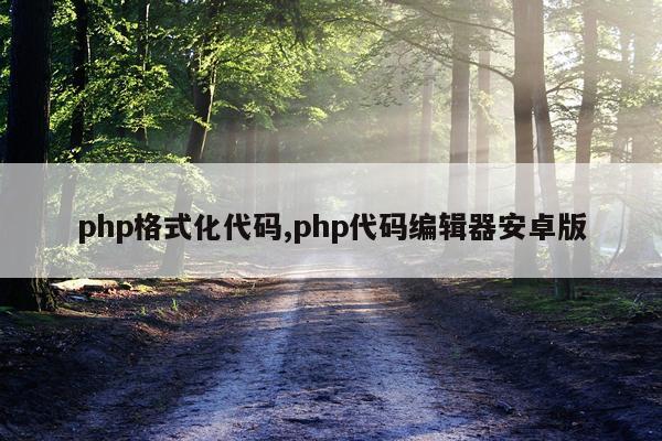 php格式化代码,php代码编辑器安卓版