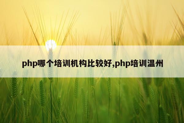 php哪个培训机构比较好,php培训温州