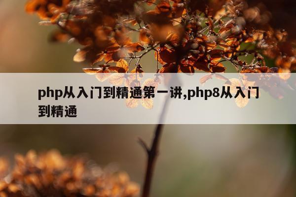 php从入门到精通第一讲,php8从入门到精通