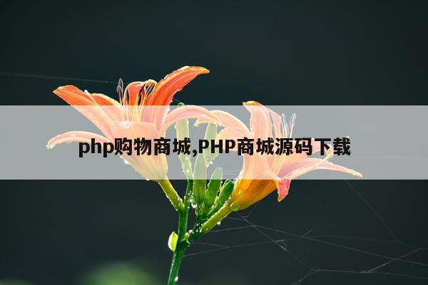 php购物商城,PHP商城源码下载