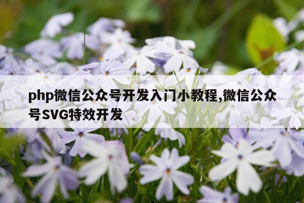 php微信公众号开发入门小教程,微信公众号SVG特效开发