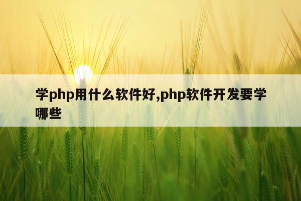 学php用什么软件好,php软件开发要学哪些