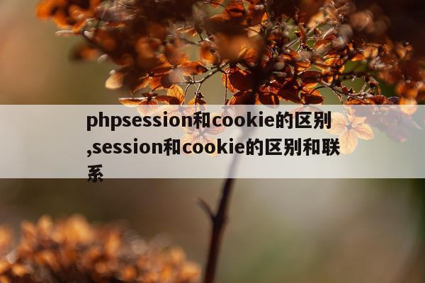 phpsession和cookie的区别,session和cookie的区别和联系