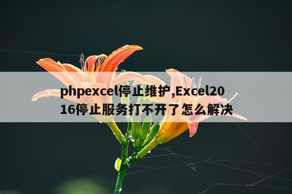 phpexcel停止维护,Excel2016停止服务打不开了怎么解决