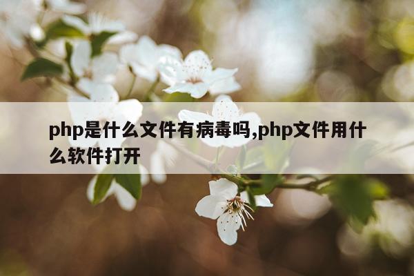 php是什么文件有病毒吗,php文件用什么软件打开