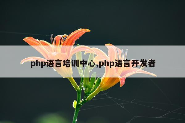 php语言培训中心,php语言开发者