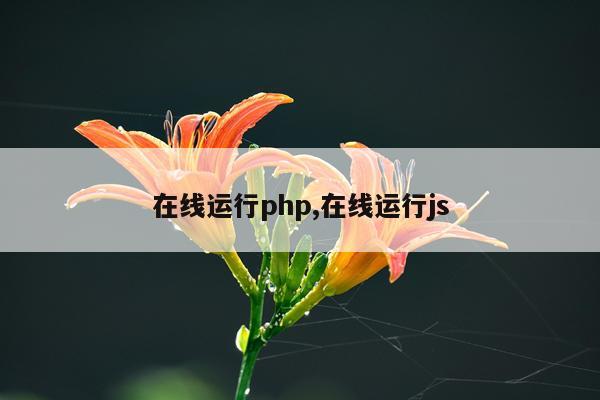 在线运行php,在线运行js