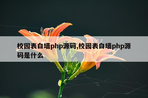 校园表白墙php源码,校园表白墙php源码是什么