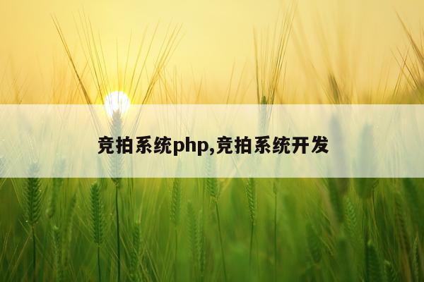 竞拍系统php,竞拍系统开发