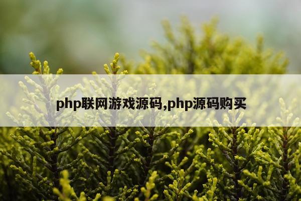php联网游戏源码,php源码购买