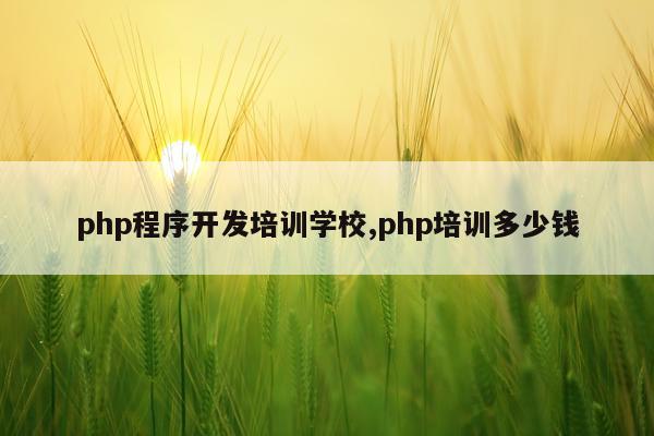 php程序开发培训学校,php培训多少钱