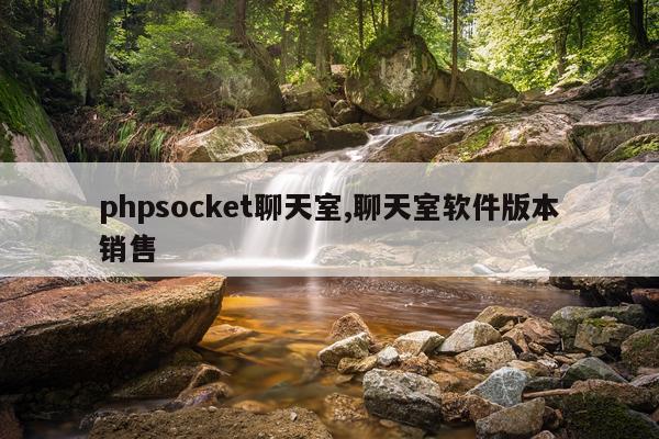phpsocket聊天室,聊天室软件版本销售