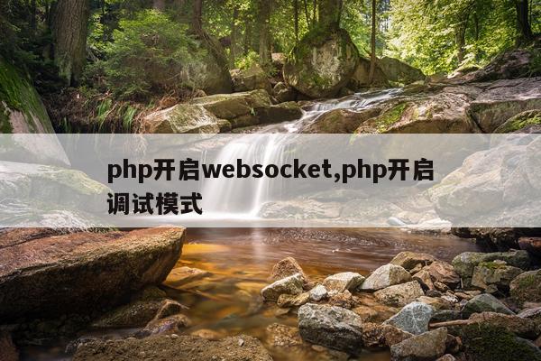 php开启websocket,php开启调试模式