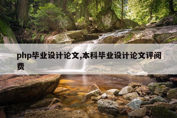 php毕业设计论文,本科毕业设计论文评阅费