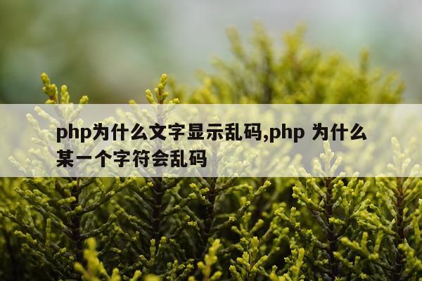 php为什么文字显示乱码,php 为什么某一个字符会乱码