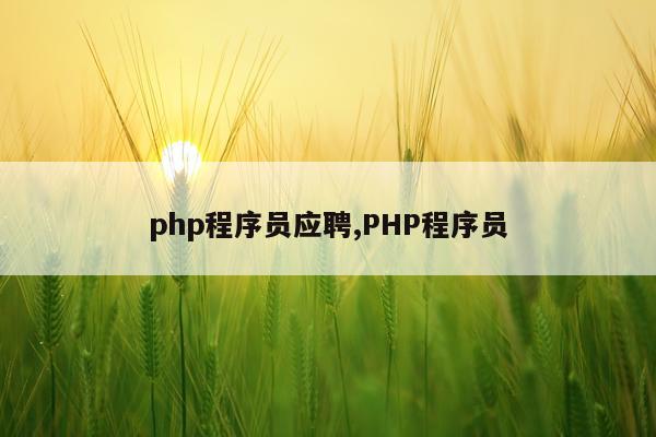 php程序员应聘,PHP程序员
